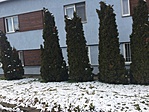 F6238F73-3EBB-4F04-AA71-4BF4F01B81D3