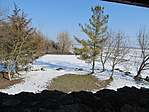 IMG_8296