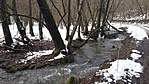 20180211_093848