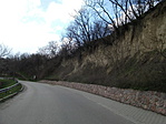 Nyúl 001