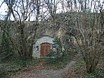 Nyúl 013