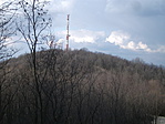 Nyúl 028