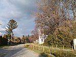 Nyúl 029