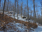 DSC09751