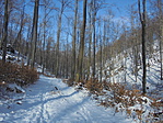 DSC09753