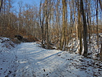 DSC09786