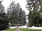 IMG_20180209_150649