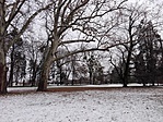 IMG_20180209_152303