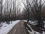 IMG_20180223_155948