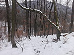 IMG_20180223_163400