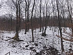 IMG_20180223_164155