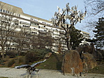 DSCF4360