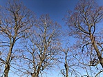 IMG_2652
