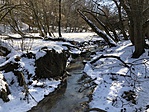 IMG_2665
