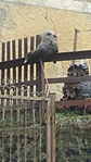 20180317_092427
