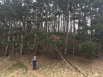 IMG_0232