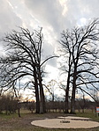 20180315_172452