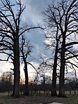 20180315_173318