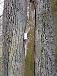 20180315_173351