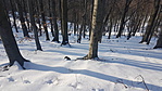 20180323_161819_resize