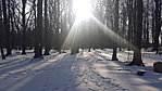 20180323_161207_resize