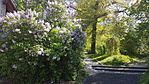 20170501_100140_resize