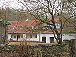 IMG_8703