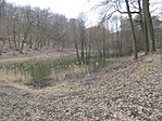 IMG_8807