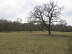 IMG_8809