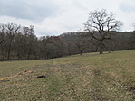 IMG_8819