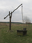 IMG_8828