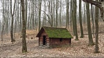 Kunyhó