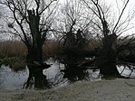 IMG_20180324_094331