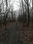 IMG_20180316_105648