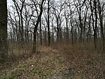 IMG_20180325_115306