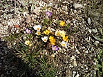 20180310_114646