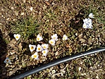 20180310_114730