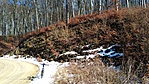 IMG_20180312_133253