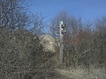 IMG_20180310_133228