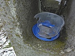 IMG_20180318_125645