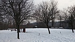 20180303_153749