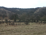 Vértes 013