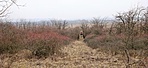 gcgorh-DSC01763