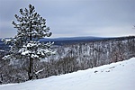 gcvbbk-DSC02199