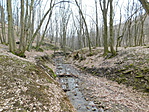 DSCN4741