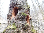 DSCN4729