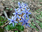 DSCN4753