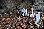  20180303_DSC_3198