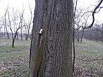 20180331_165220