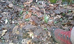 20180316_163643